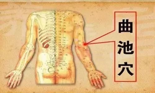 疾病|身体365个穴位,无非这8穴,此8穴治疗身体一切疾病,收了吧!