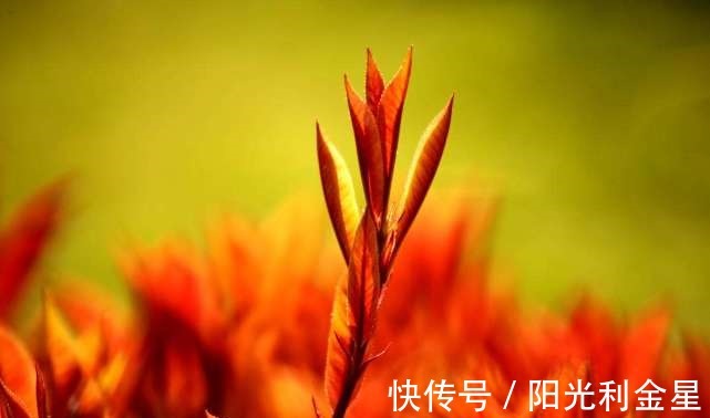 女人&不佩戴任何饰品的女人,身上通常有两个特质,尤其第二个很旺夫