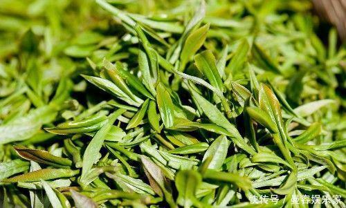 “三天不吃青,两眼冒金星”,但6种蔬菜最好不要吃,无益健康