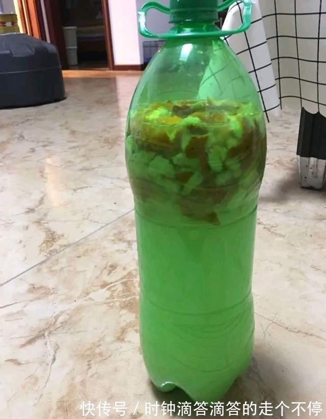 养花|发酵淘米水臭气熏天,里面加点小东西,发酵快没异味,养花真棒