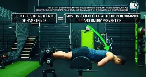 腘绳肌|几块“易被忽视训练”的重要肌肉,可能影响你的训练质量!