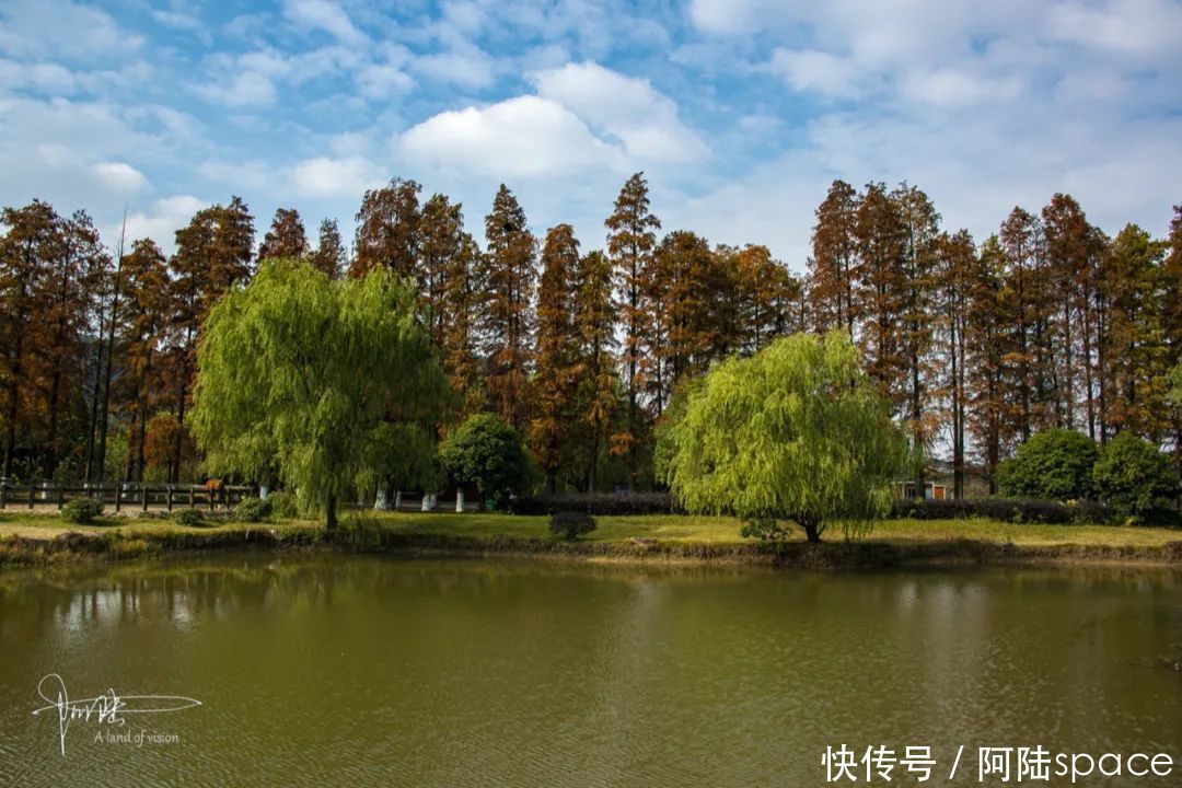  骑马|想体验骑马不一定要去内蒙古，在嘉兴南北湖就可以圆这个梦