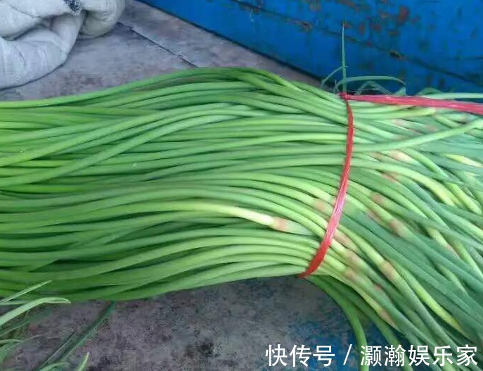 红头|都叫蒜苔，为啥有“绿头”和“红头”，啥区别看完别再随便买了