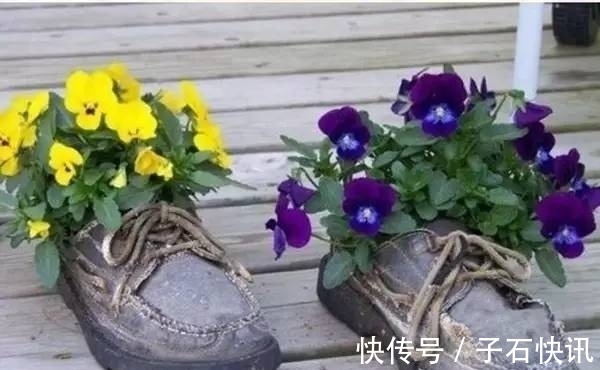 自制|你还在花钱买花盆吗?别买了,自制花盆,比买的好看的多了