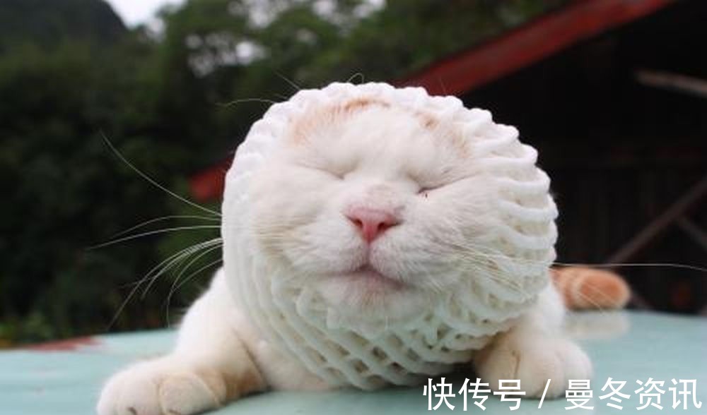 |小龟哥讲笑话你蹲在这里干吗,结果发现他在……