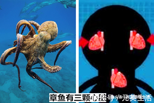 11个看起来很像是假的，但却是真实情况的冷知识