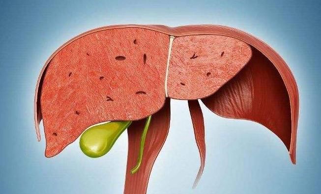 肝火旺易失眠，心火旺易做梦！用3个办法就能把火“熄灭”！