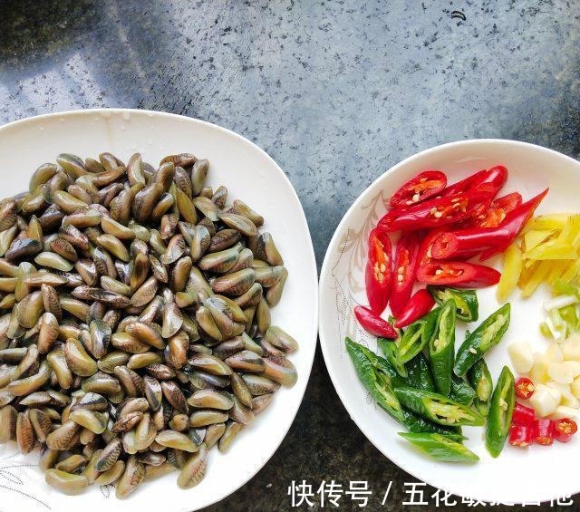 寻氏肌蛤|辣炒海瓜子，一口一个，很鲜美！