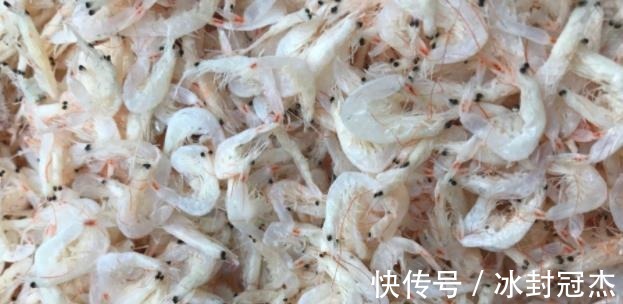 钙质|虾皮能不能补钙呢或许和你想的不一样，了解一下