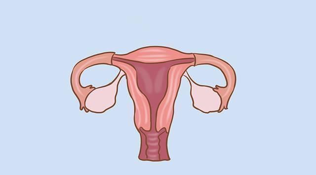 发育|第一次女孩来月经,如果在这个年龄段之后,说明发育的很好