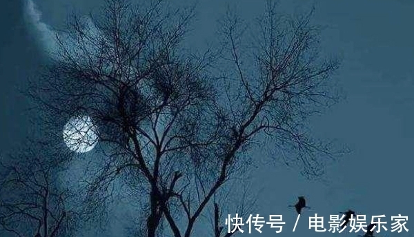 田园风光!辛弃疾被贬闲居江西,写下一首千古名篇,构建出了绝美的田园风光