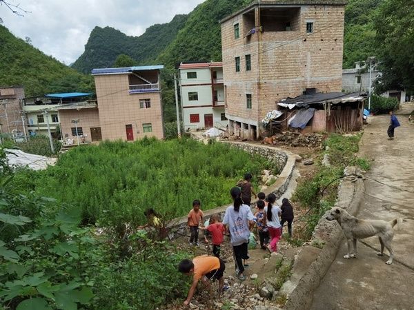 我的家乡|紫云宗地镇：党史学习教育助推学生志愿者共创乡村振兴生态宜居