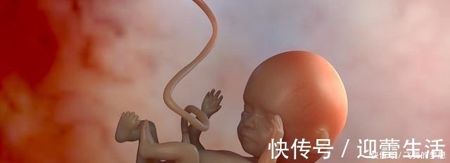 肚子|原来胎宝宝的性格, 妈妈也有“决定权”, 怪不得每次胎动都不一样!