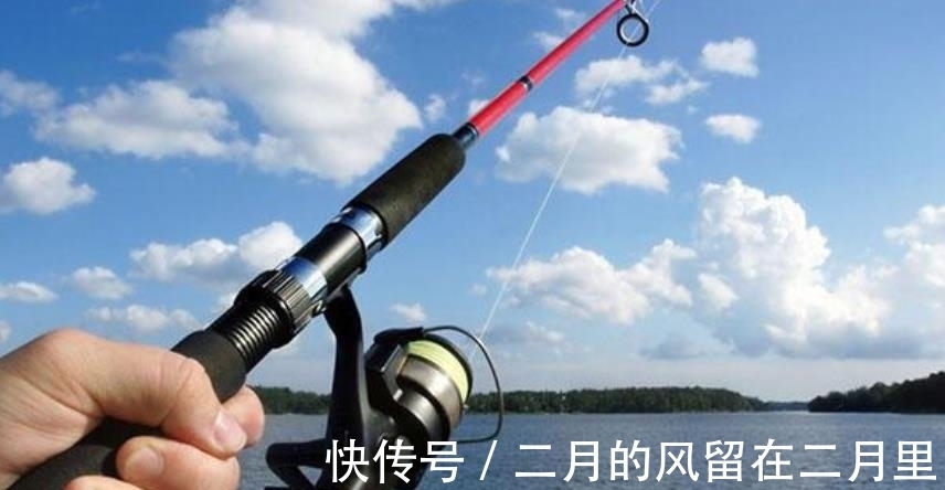 杂鱼|小鱼闹钩就只能收竿不钓？换用这5招，中鱼率高