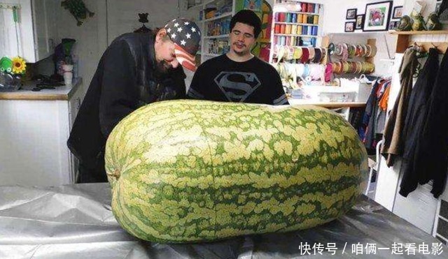 外国大哥买了一个260斤重的大西瓜,切开那一瞬间,众人很惊讶
