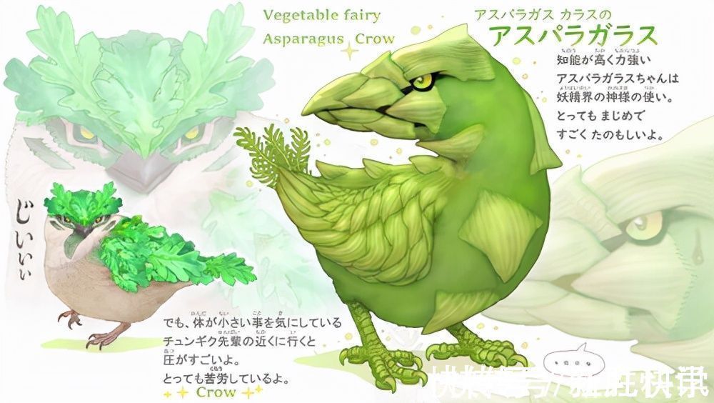 精灵|世界上最菜的狗能有多菜?这个日本人给出了意想不到的答案