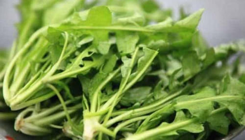 补充营养|秋天不妨坚持吃3种食物，补充营养，淡化皱纹，好处多多