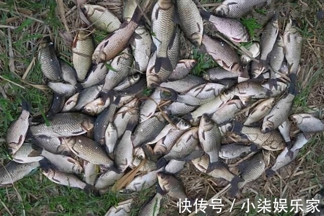 鲫鱼|天气越冷越要找鱼窝,鲫鱼喜欢藏在这些地方,找准位置下钩就上鱼