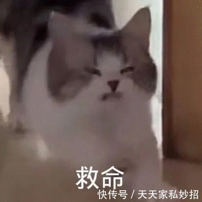 床头柜|还是找装修公司靠谱,给大家整理了6个装修要点,4个准备工作