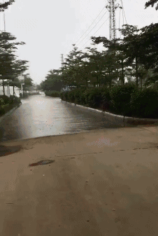 |搞笑GIF:第一次见发传单还能这么诚恳的,不接受都不忍心啊!