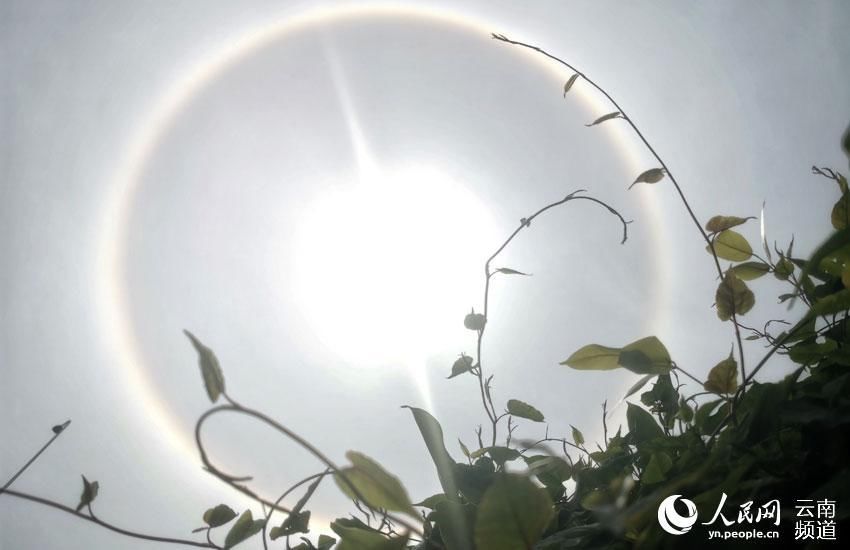 太阳“晕圈” 云南多地出现日晕景观（组图）