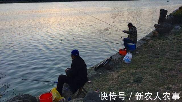 李村河|山东一河流入海口成天然黑坑,钓鱼人蜂拥而至,鱼获到底怎么样?