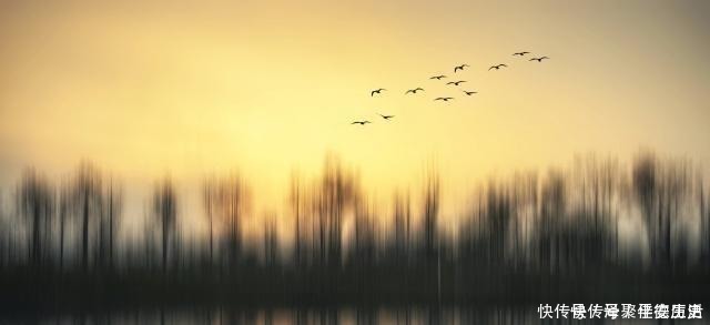 蜀道难&天下第一骈文,全文773字包含40个成语,句句都是绝唱