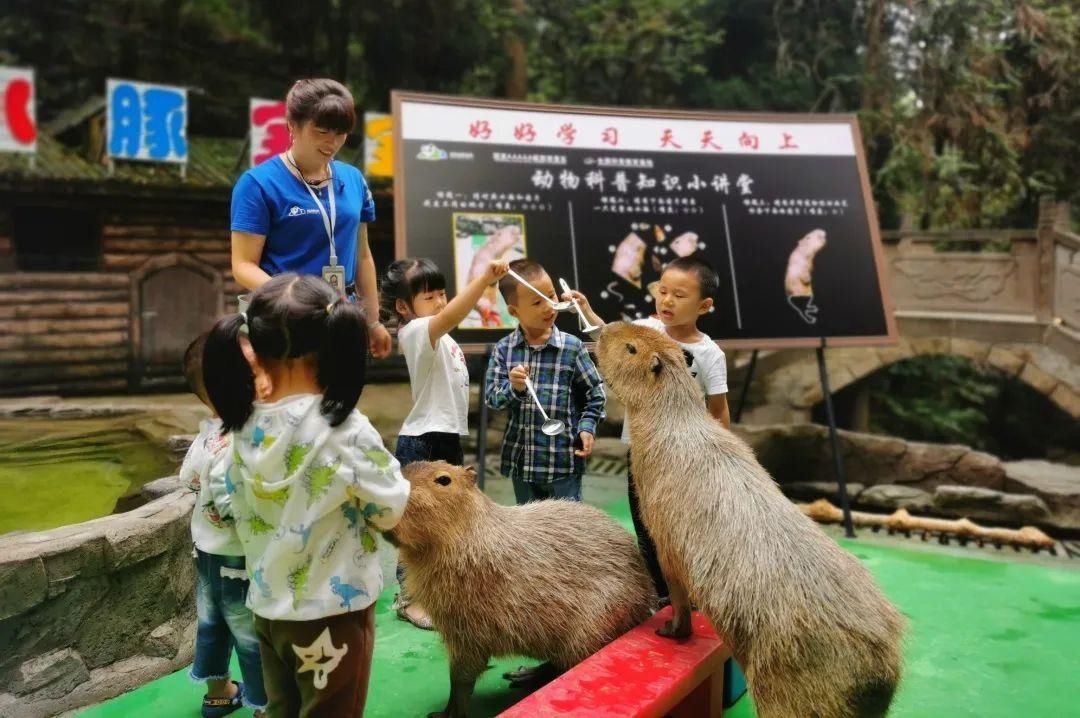 享自然！来碧峰峡，做一个关于自然的梦