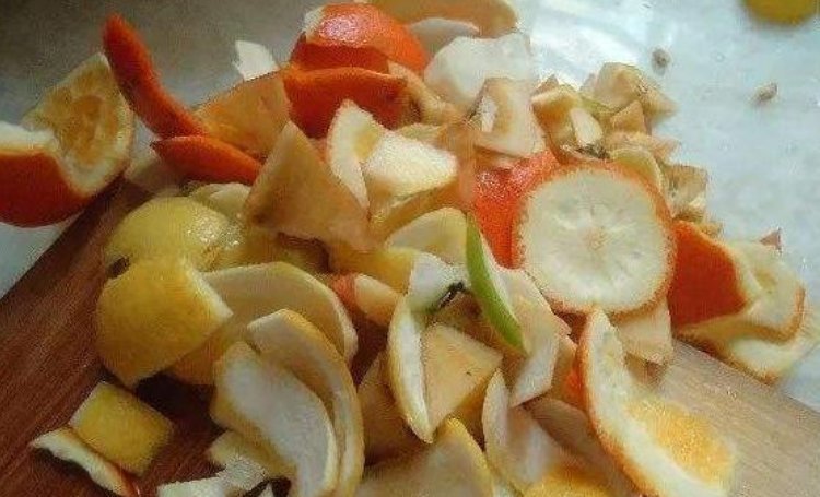 家里“3种”垃圾别扔撒花盆一点,根壮叶绿,呼呼开花