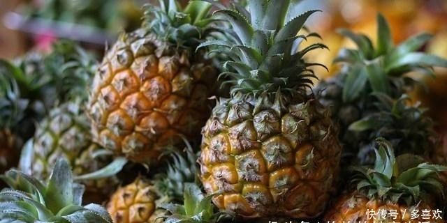 维生素|菠萝蒸着吃,竟有如此作用,身体悄悄发生了大变化,早知早受益