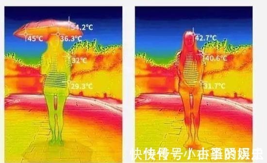 雨伞 薇娅懒人伞一晚爆红,39度出门不怕晒,网友防晒霜可以扔了!