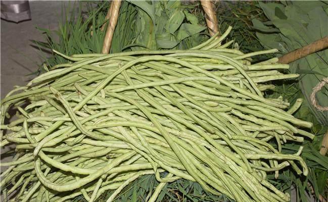 保鲜|农村大妈把几十斤豆角这样做，保鲜三年稀罕土物比牛羊肉珍贵