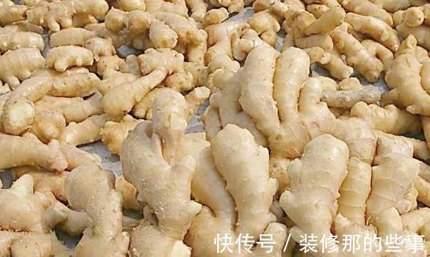 猪肝|今日中伏,再忙也要吃这3种“扶阳”食物,营养滋补精神足,好吃