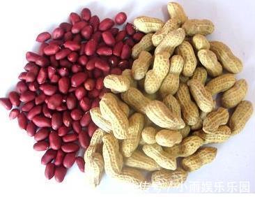 红衣|一个大补气血的方子,简单5味食材,养心护脾,让你瞬间血气满满