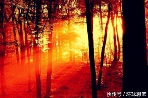 玉楼&断鸿渺渺空银海,疏雨潇潇满玉楼;八首七律诗,已是天凉好个秋