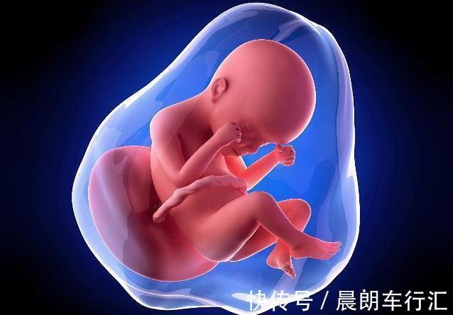 羊水|孕妇在3个时间点多喝水,羊水更充足,对胎儿发育好