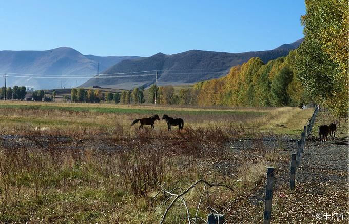 老年|最后的香格里拉-稻城亚丁之旅