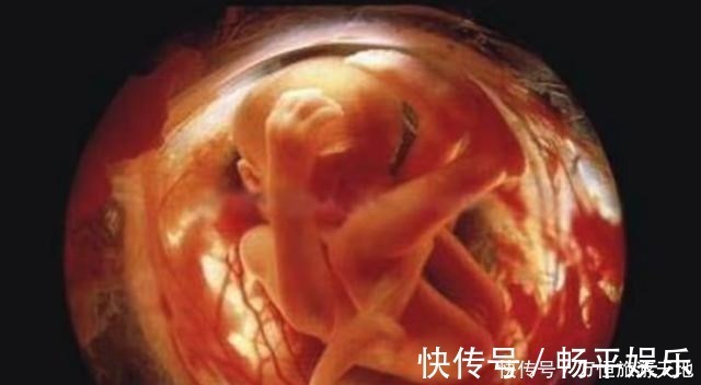 六个月|怀孕6个月,胎儿容易遇到2种危险,出现任何一个孕妇也要谨慎