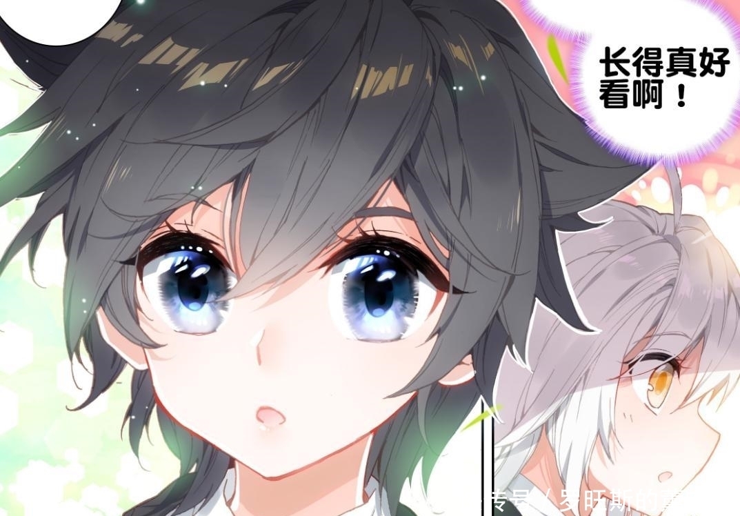 终极斗罗:霍雨浩的冰无人能破,马红俊的火在他面前,就是小弟弟