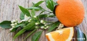 這五種食物可以幫您延緩衰老