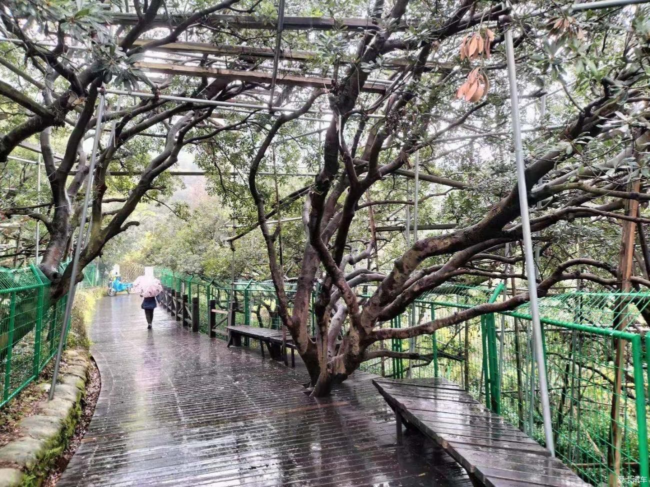 细雨邂逅虞山