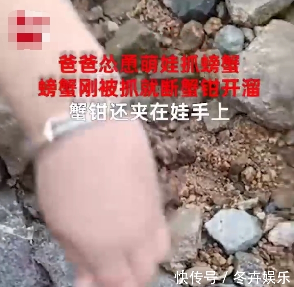 福建|福建一爸爸怂恿萌娃抓螃蟹,下一幕笑翻网友:父爱如山体滑坡