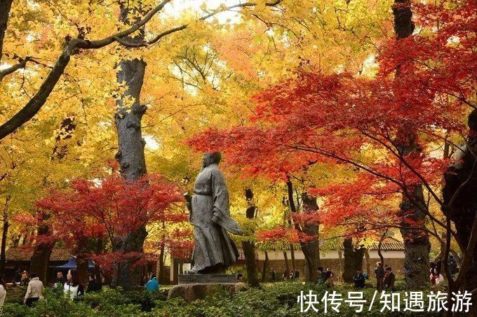 红叶|10月，国内这9个地方藏着最美的秋色，千万不能错过