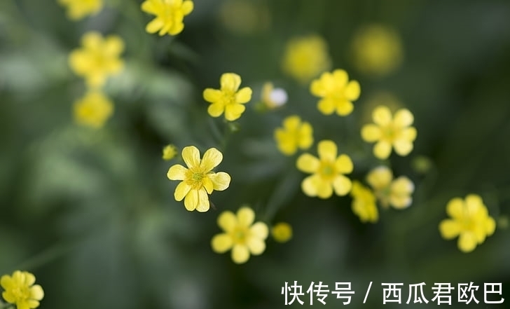 生肖|1月财星入命,事业越来越红火的3大生肖