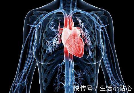 中药|有心悸、心慌问题?这些保护心脏的中药组合介绍给你