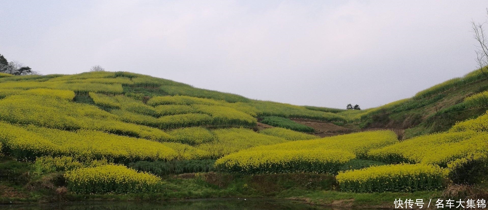 浙江又出“养老首选地”，号称“水乡泽国”，游客：来了就不想走