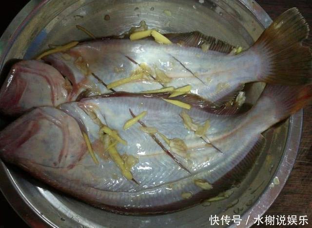 炖鱼汤|不管炖什么鱼,都别放“它”,不然腥味锁在鱼里,汤浑浊又难喝
