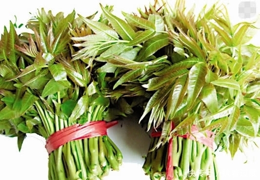  叮嘱|医生叮嘱：这三种青菜吃之前一定要烫一下，尤其是最后一种！
