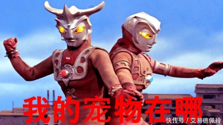宠物|盘点那些养怪兽的奥特曼,雷欧的宠物会打人,他的宠物有三个!