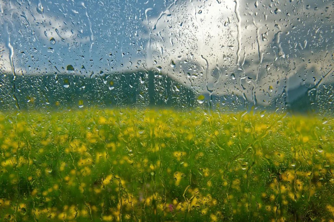 二十四节气里的中医智慧|今日雨水 | 中医